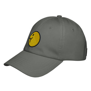 TCP Under Armour® dad hat