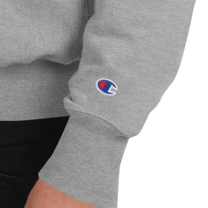 Champion script sleeve boyfriend hot sale hoodie